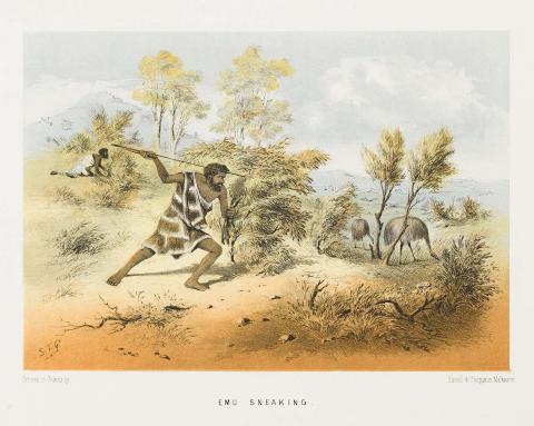 Artwork Emu sneaking (from 'The Australian sketchbook') this artwork made of Colour lithograph on smooth wove paper, created in 1865-01-01