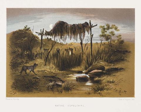 Artwork Native sepulchre (from 'The Australian sketchbook') this artwork made of Colour lithograph on smooth wove paper, created in 1865-01-01
