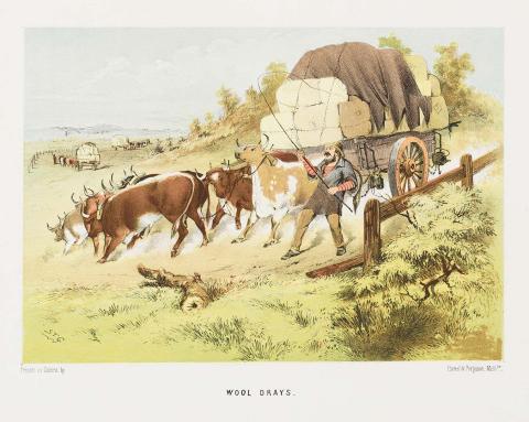 Artwork Wool drays (from 'The Australian sketchbook') this artwork made of Colour lithograph on smooth wove paper, created in 1865-01-01