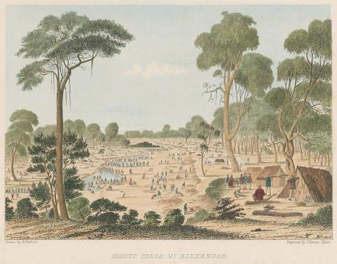 Artwork Forest Creek, Mount Alexander this artwork made of Colour lithograph, hand-coloured on smooth wove paper, created in 1852-01-01