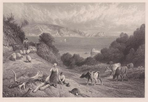 Artwork (Shepherds with sheep and cattle overlooking sea) this artwork made of Steel engraving on paper, created in 1855-01-01