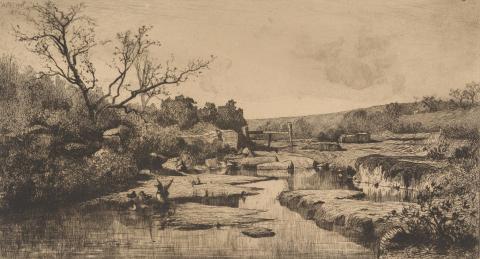 Artwork La source de l'Albarine (The headwaters of the Albarine River) this artwork made of Etching, drypoint on warm white, laid handmade paper, created in 1870-01-01