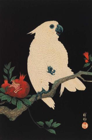 Artwork Cockatoo and pomegranate this artwork made of Woodblock print on paper, created in 1926-01-01