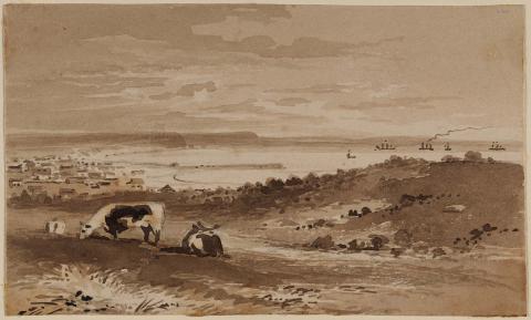 Artwork Untitled (Portland Bay) this artwork made of Wash, pen and brown ink over pencil on wove paper, created in 1850-01-01
