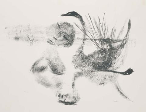 Artwork Leda suite no. 2 this artwork made of Lithograph on wove paper, created in 1961-01-01