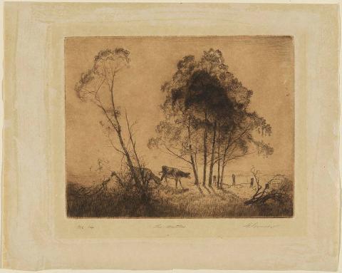 Artwork The wattles this artwork made of Drypoint on smooth cream wove paper, created in 1917-01-01