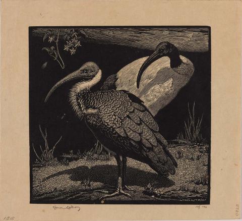 Artwork Ibis this artwork made of Wood engraving on paper, created in 1932-01-01