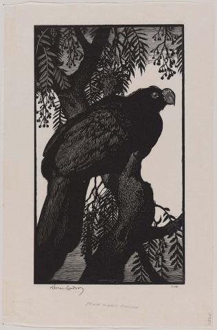 Artwork Prince Albert's Curassow this artwork made of Woodcut on paper, created in 1935-01-01