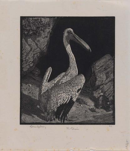 Artwork The pelican this artwork made of Wood engraving on thin smooth laid India paper, created in 1924-01-01