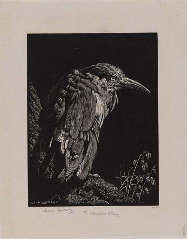 Artwork The clipped wing (Depression) this artwork made of Wood engraving