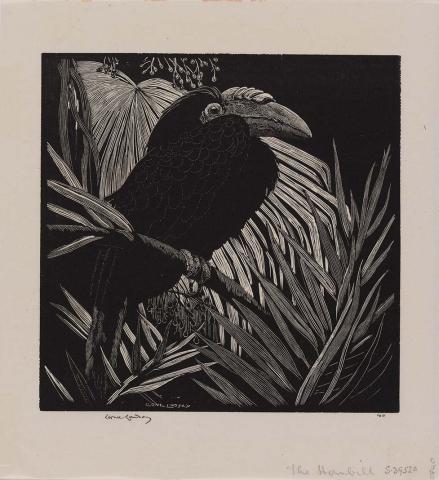 Artwork The hornbill this artwork made of Wood engraving on thin smooth laid India paper, created in 1932-01-01