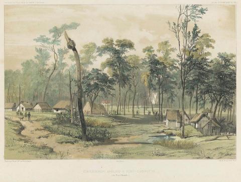 Artwork Etablissement Anglais a Port-Essington (English settlement at Port Essington) this artwork made of Reproductive colour lithograph on thick wove paper, created in 1841-01-01