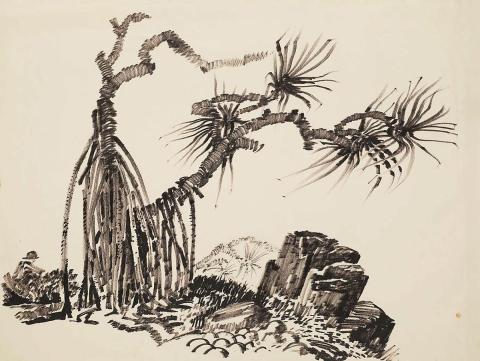 Artwork Pandanus palms this artwork made of Fibre-tipped pen and ink on cream wove paper, created in 1959-01-01