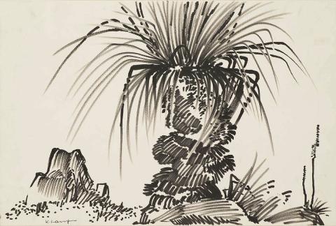 Artwork Grass tree no. 1 this artwork made of Fibre-tipped pen and ink on wove paper, created in 1955-01-01