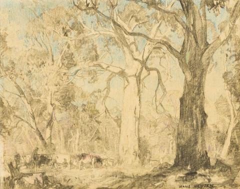 Artwork The white gum this artwork made of Charcoal and coloured chalks on cream wove paper, created in 1908-01-01