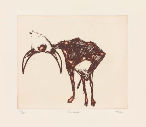 Artwork Carcase (no. 19 from 'Dust' series) this artwork made of Photo-etching on wove paper, created in 1971-01-01
