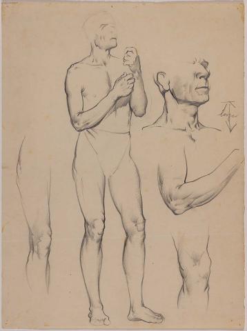 Artwork (Standing male nude) this artwork made of Pencil on paper