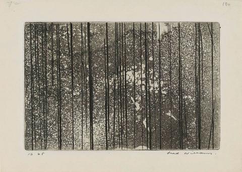 Artwork Sapling forest this artwork made of Aquatint, engraving and drypoint on wove paper, created in 1961-01-01