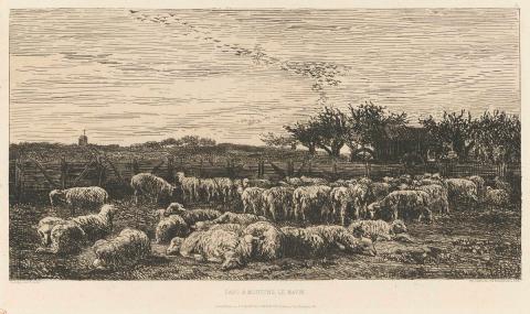 Artwork Le grand parc a moutons (Sheep in a large field) this artwork made of Etching on cream laid paper, created in 1860-01-01