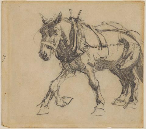 Artwork Horse in harness this artwork made of Pencil