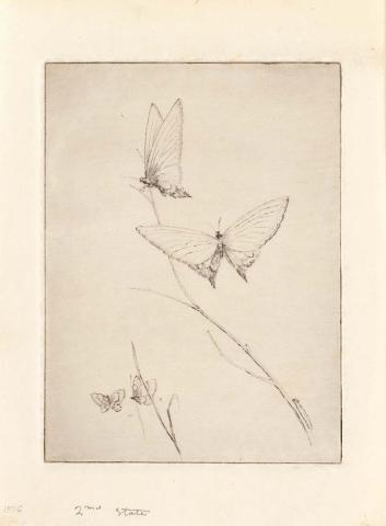 Artwork Butterflies this artwork made of Drypoint on off-white, handmade, wove paper, created in 1944-01-01