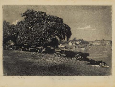Artwork The fig tree, Berry's Bay this artwork made of Aquatint