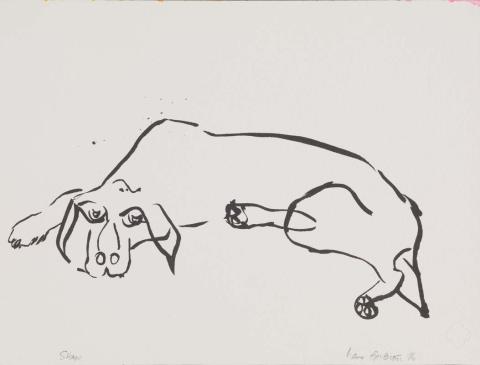 Artwork The dogs of Auckland no. 28 this artwork made of Ink on Arches Watercolour paper, created in 1996-01-01