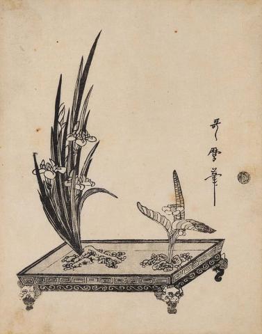 Artwork Iris and aquatic candock (Kohone) this artwork made of Woodblock print on paper, created in 1800-01-01
