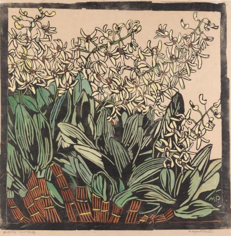Artwork Australian rock lily this artwork made of Woodcut, hand-coloured on paper, created in 1932-01-01
