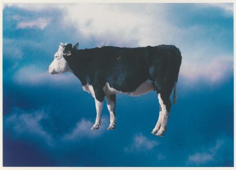 Artwork cloud (portfolio) this artwork made of Inkjet print on banner paper, created in 2000-01-01