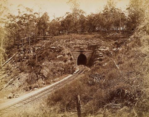 Artwork Queensland railway track - local this artwork made of Albumen photograph on paper, created in 1884-01-01