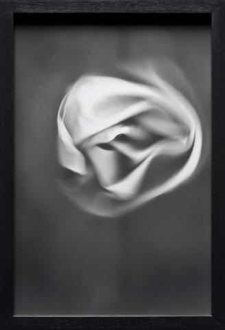 Artwork Raw nerve (from 'Pond' series) this artwork made of Gelatin silver photograph on paper, created in 1995-01-01