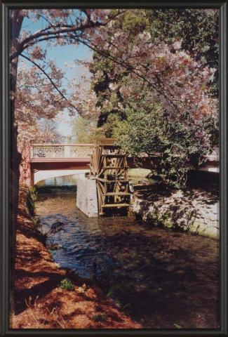Artwork Christchurch (River) (from 'The Homely' series 1997-2000) this artwork made of Type C photograph
