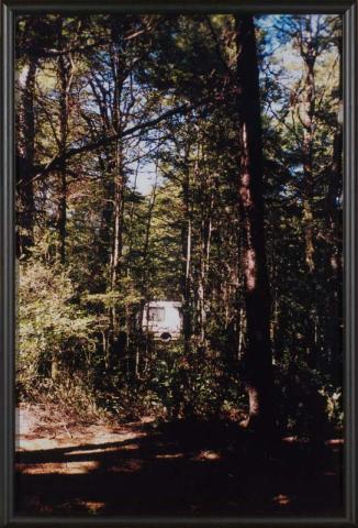 Artwork St Arnauld (Forest) (from 'The Homely' series 1997-2000) this artwork made of Type C photograph on paper mounted on foam board, created in 2000-01-01