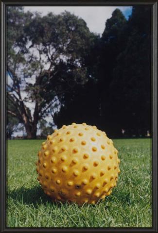 Artwork Auckland (Ball) (from 'The Homely' series 1997-2000) this artwork made of Type C photograph on paper mounted on foam board, created in 1998-01-01