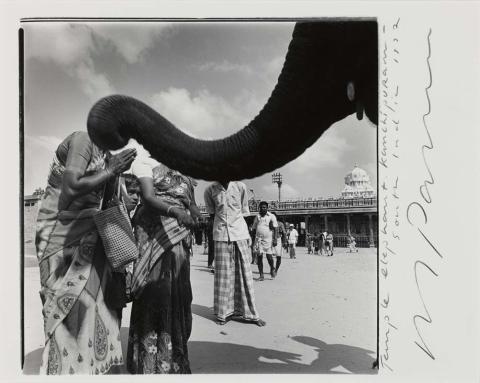 Artwork Elephant blessing people, Kanchipuram, South India (from 'Indian Ocean Journals') this artwork made of Gelatin silver photograph on paper, created in 1992-01-01