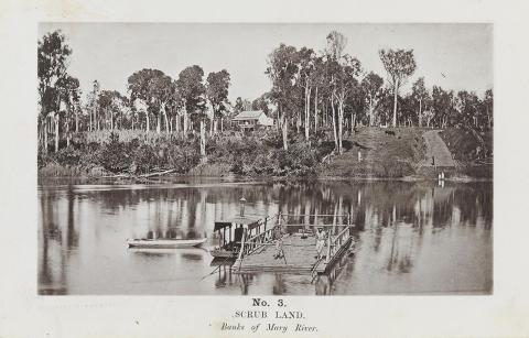Artwork (Scrub land - Banks of Mary River) (no. 3 from 'Images of Queensland' series) this artwork made of Autotype on paper, created in 1864-01-01