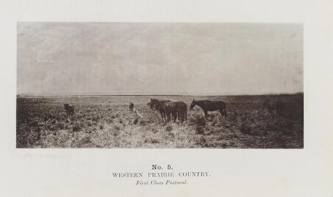 Artwork (Western prairie country) (no. 5 from 'Images of Queensland' series) this artwork made of Autotype