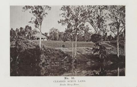 Artwork (Cleared scrub land - Banks Mary River) (no. 10 from 'Images of Queensland' series) this artwork made of Autotype on paper, created in 1864-01-01