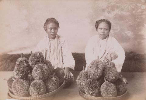 Artwork Burma, durian sellers this artwork made of Albumen photograph, created in 1880-01-01