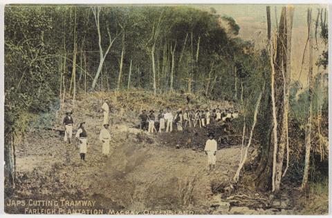 Artwork Japs cutting tramway, Farleigh Plantation, Mackay this artwork made of Commercially printed colourised postcard, created in 1900-01-01