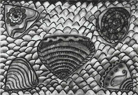 Artwork Shells this artwork made of Charcoal on paper, created in 2011-01-01