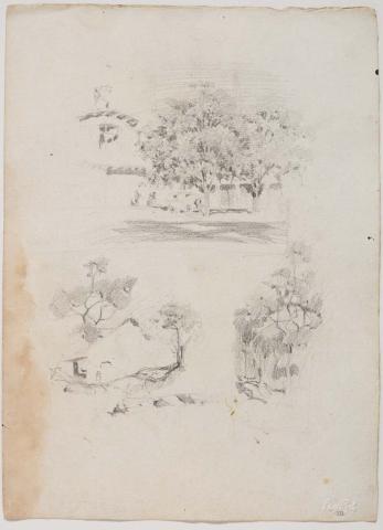 Artwork Cowlishaw's house, east end of Cowlishaw's stables; Trees this artwork made of Pencil on paper, created in 1916-01-01