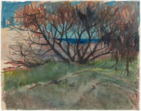 Artwork Casuarina and beach this artwork made of Watercolour on paper, created in 1945-01-01