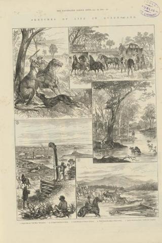Artwork Sketches of life in Queensland: 
Fight with an "old man" kangaroo; A stage-coach in the bush; Gold mining at Charters Towers; Wild-duck shooting at Hughenden; and On the Burdekin River - cattle and alligator (from 'The Illustrated London News' 19 January this artwork made of Engraving on paper, created in 1881-01-01