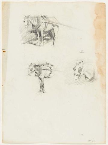 Artwork Three studies of a carthorse this artwork made of Pencil on paper, created in 1913-01-01