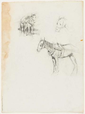 Artwork Three studies of a carthorse this artwork made of Pencil on paper, created in 1913-01-01