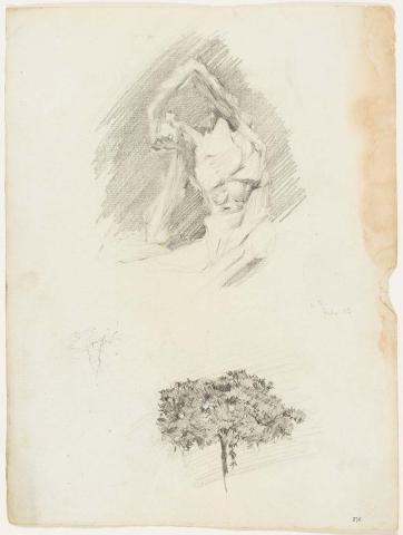 Artwork Écorché drawn from the cast; Tree this artwork made of Pencil on paper, created in 1915-01-01