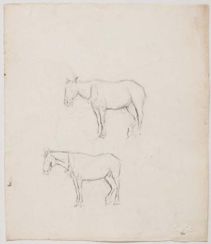 Artwork Two carthorses this artwork made of Pencil on paper, created in 1915-01-01