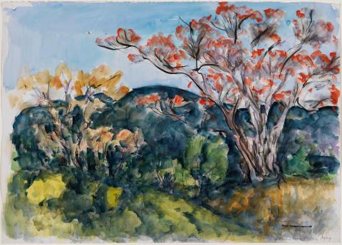 Artwork Flame tree, Maleny this artwork made of Watercolour and gouache on buff wove paper, created in 1989-01-01